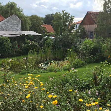 Schoene Gemuetliche Ferienwohnung Mit Kamin I Im Harz Darlingerode Luaran gambar