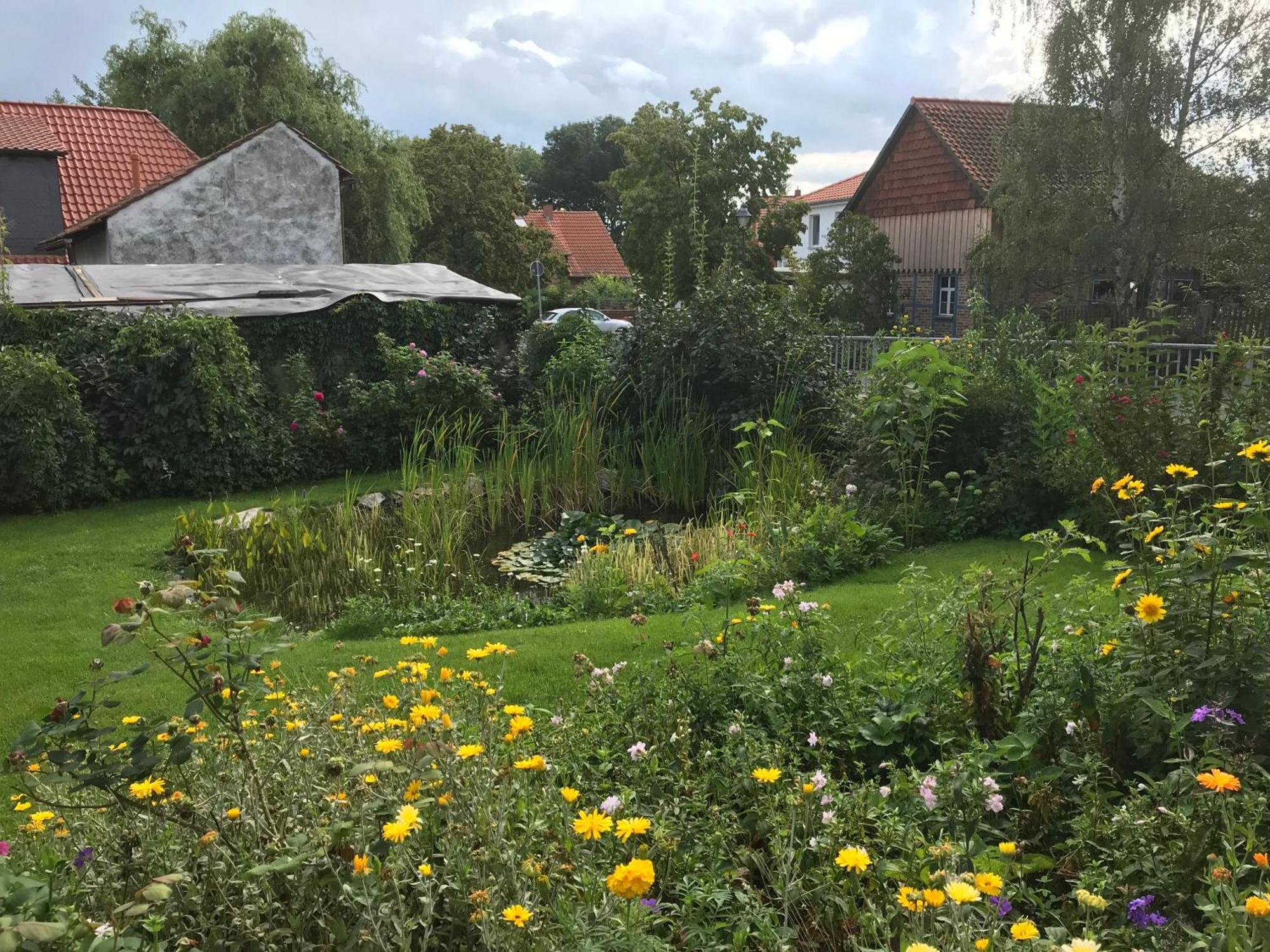 Schoene Gemuetliche Ferienwohnung Mit Kamin I Im Harz Darlingerode Luaran gambar